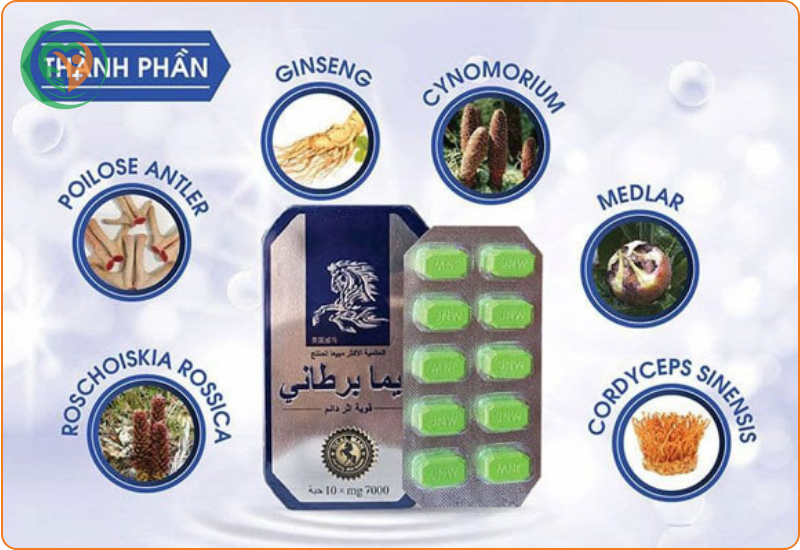 Thành phần có trong cường dương ngựa Thái
