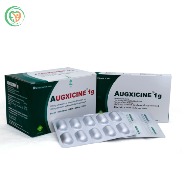 Thuốc kháng sinh Augxicine 1g