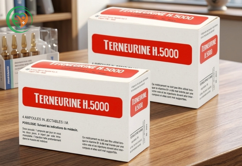 Thuốc Terneurine H.5000 điều trị đau rễ thần kinh ,đau dây thần kinh (Hộp 4 lọ bột thuốc và 4 ống dung môi)